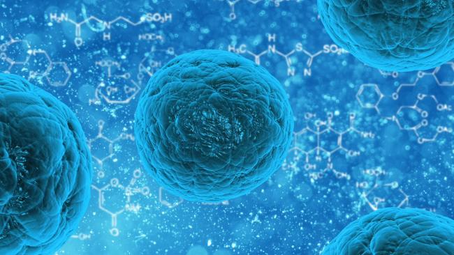 The dog cancer and the medicinal mushroom