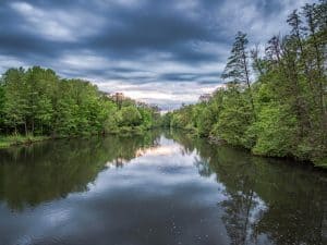 milyen gazdát szeretne a kutya? Türlmes, határozott és következetes kell hogy legyen.