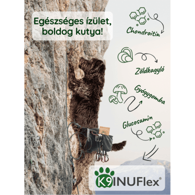 Mozgékony, boldog kutya természetes környezetben – K9 INUFlex® rendszeres használata mellett