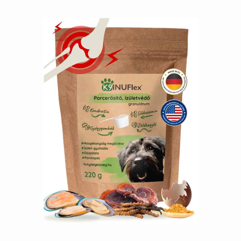 K9 INUFlex® összetevők – glükózamin, zöldkagyló, ESM, Boswellia, gyógygombák kutyáknak
