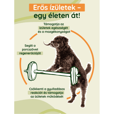 Tökéletes ízületvédő, porcerősítő kutyáknak.
