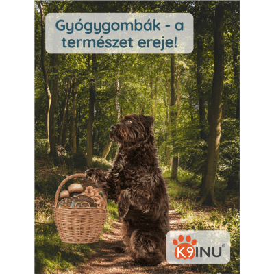 K9 INU