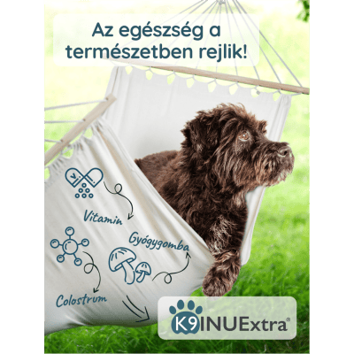 Egészséges, aktív kutya a természetben – K9 INUExtra® immunerősítő rendszeres használata után