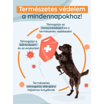 K9 INUExtra® hatásai – immunerősítés, daganatok kiegészítő kezelése, vitalitás idős kutyáknak, allergiára, gyomor egészségre