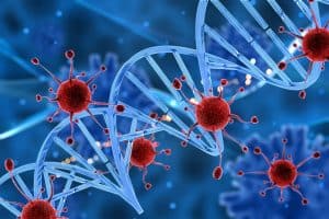 Kutya immunmoduláló terápián az immunrendszer támogatására és a betegségek leküzdésére