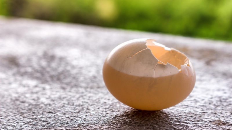Tojáshéj membrán a belső héjon – természetes forrás ízületi támogatáshoz