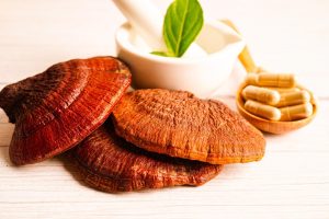 Pecsétviaszgomba kutyáknak – ganoderma reishi gyógygomba kapszulákkal