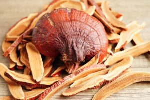 Pecsétviaszgomba kutyáknak – ganoderma (reishi) gyógygomba, szeletek és termőtest.