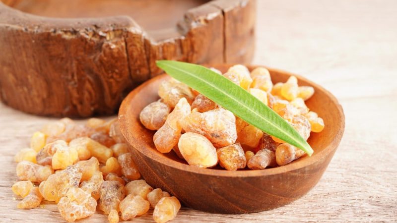 Boswellia serrata gyanta természetes formában egy fából készült tálban, ízületvédő hatóanyag kutyáknak