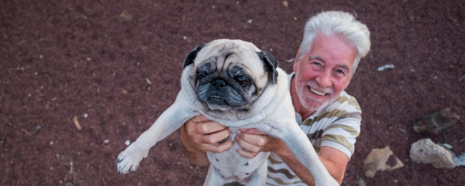 Immunrendszer támogatása kutyáknál - egészséges, energikus kutya gazdájával