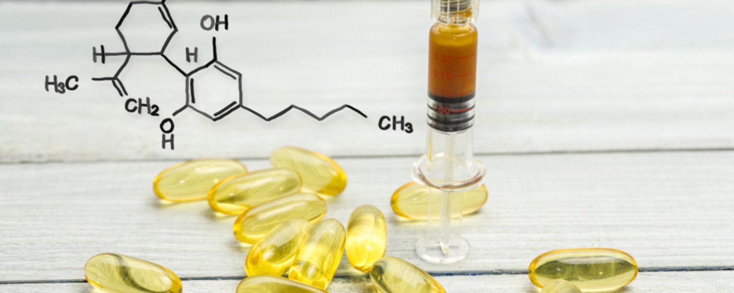 Olajok és zsírsavak kutyáknak - omega-3 kapszulák és természetes zsírsavforrások