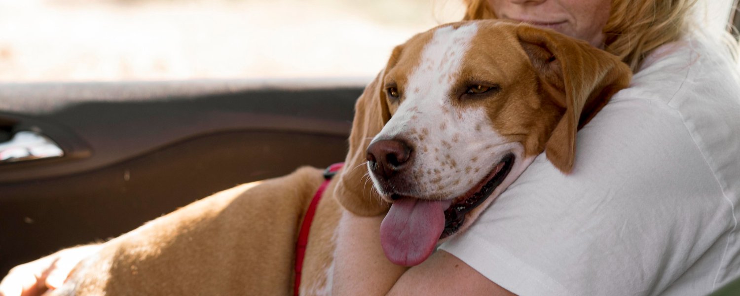 Egy kutya boldogan pihen gazdája ölelésében – az ízületi problémák kutyáknál is komoly életminőséget rontó jelenségek.